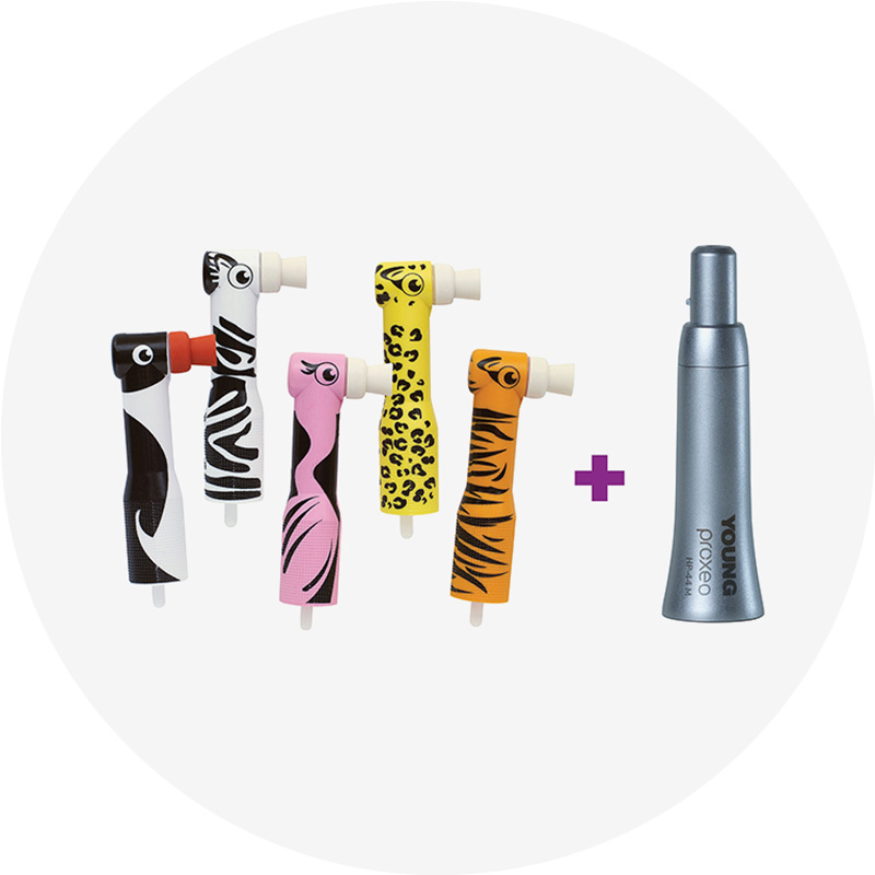Zooby Starter Kit