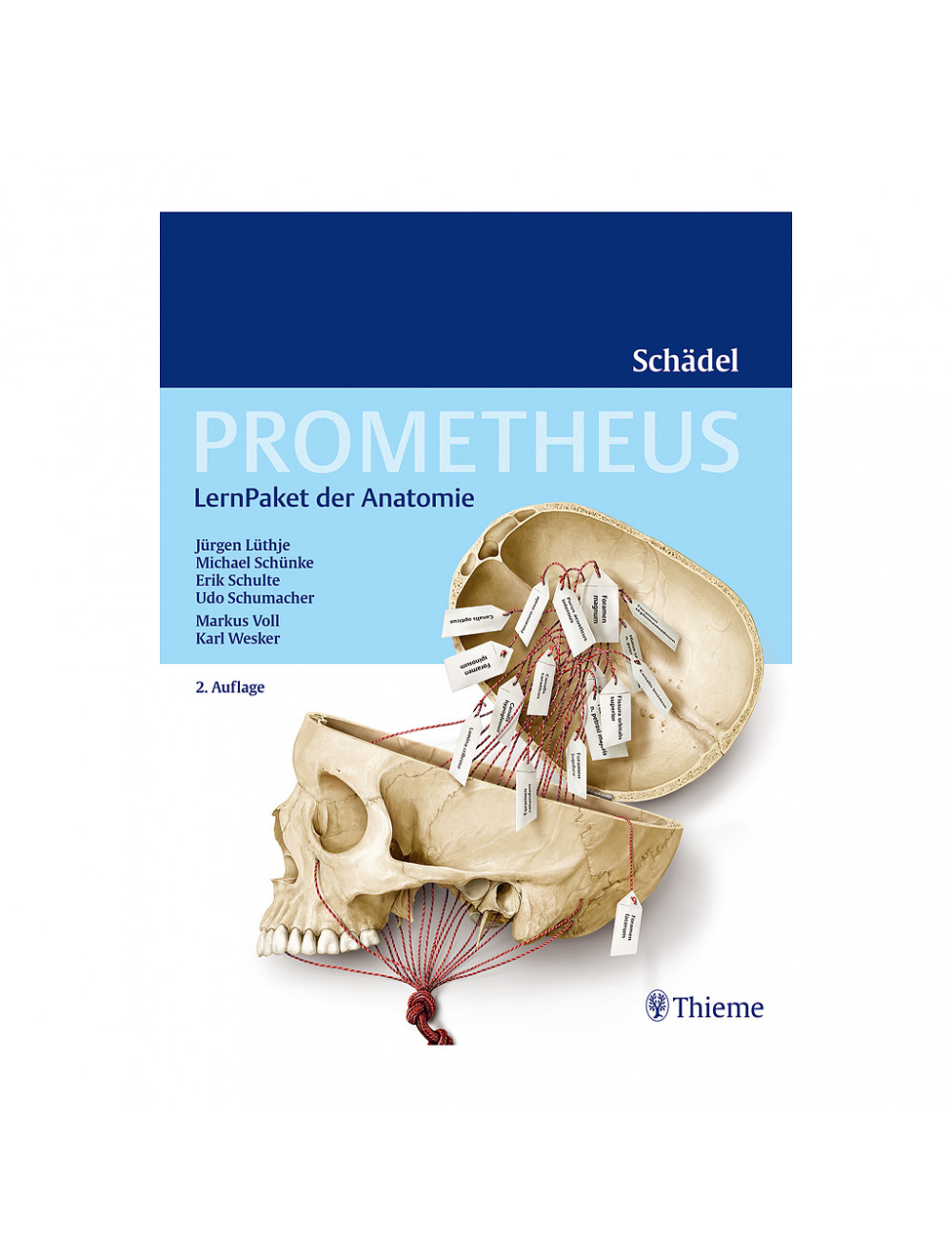 PROMETHEUS LernPaket Anatomie Schädel 9783132403000 - Global